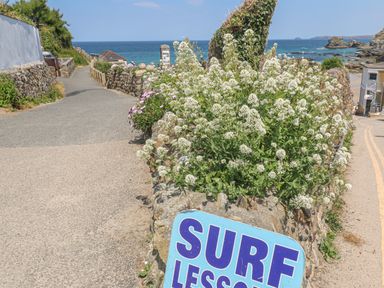 A coastal pathway with stone walls and flowers leading to the sea with a sign for surf lessons near Avalon in St Agnes