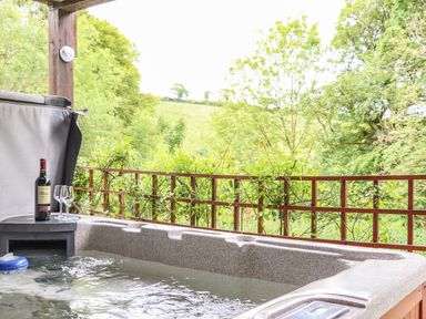 A hot tub with a bottle of wine and two wine glasses on the edge overlooking green trees and a field at Valley Lodge 52 in Callington