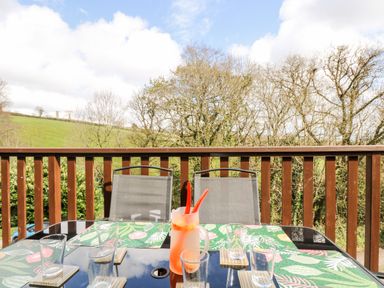 An outdoor table with a pitcher and glasses on placemats on a balcony with two chairs and trees in the background at Valley Lodge 52 in Callington