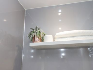 A bathroom shelf with a potted plant a roll of toilet paper and folded towels at Station House in Scarborough