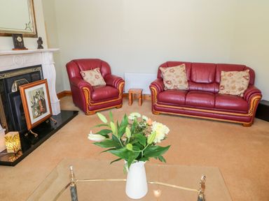 A living room with red leather sofa and armchair with cushions a fireplace and a vase of flowers on a glass table at The Blue Annex The Spa near Tralee County Kerry