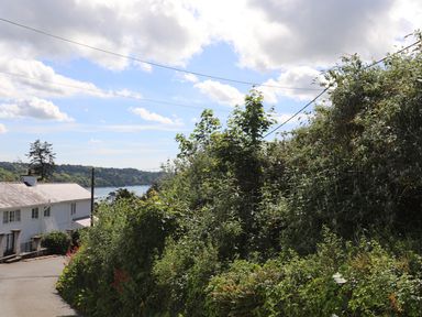 A road with dense shrubbery on the right and a white house on the left near water at Bryn Teg Cottage in Menai Bridge