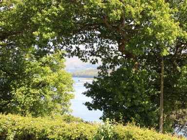 A view of a body of water through green trees and shrubs at Bryn Teg Cottage in Menai Bridge