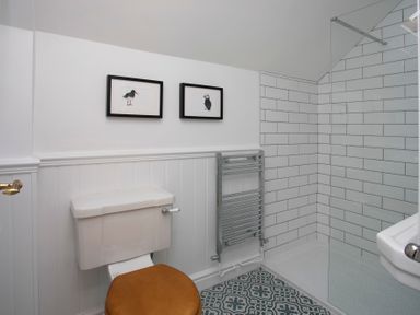 A bathroom with a toilet, a towel radiator, a glass shower enclosure, bird pictures on the wall, and patterned floor tiles at Stabl Bach in Llanfaethlu