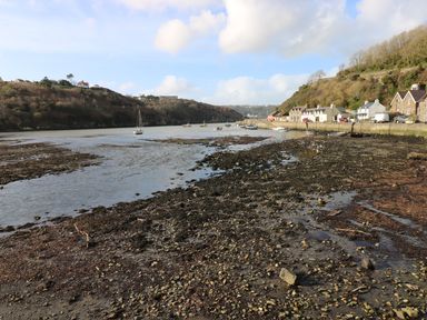 A coastal area with boats on water and houses along the shore at The Old Stables in Fishguard