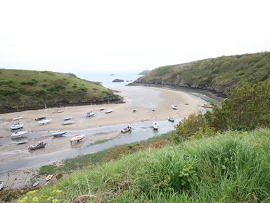 A coastal bay with boats resting on the sand during low tide with grassy hills surrounding the area at The Old Stables in Fishguard