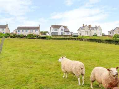 A grassy field with two sheep and houses in the background at Seacoast Cottage in Castlerock