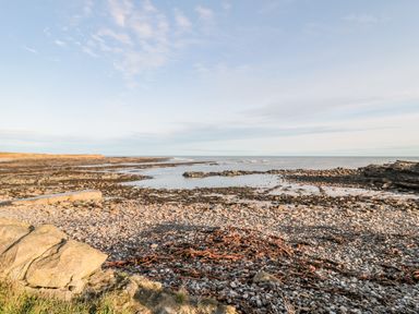 A rocky beach with seaweed and scattered stones by the ocean at 39 Longbeach Drive in Beadnell