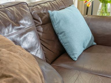A brown leather sofa with a blue cushion and a brown pillow at 39 Longbeach Drive Beadnell