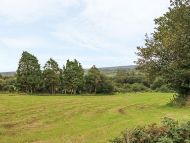 A grassy field surrounded by trees and bushes at Dirreen House in Athea near Listowel County Kerry