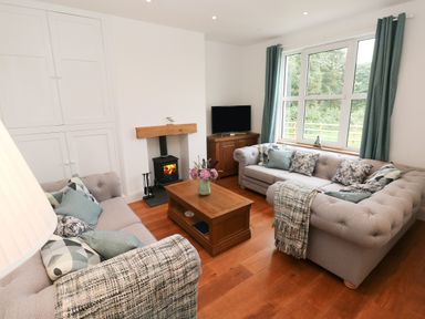 A living room with two sofas a wooden coffee table a fireplace and a television at Copybush Cottage in Lawrenny