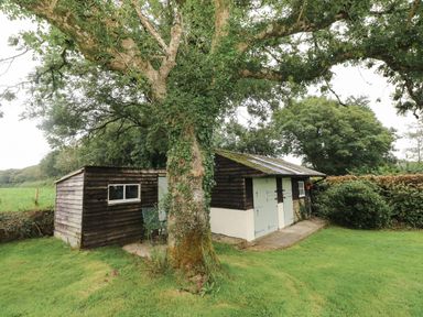 A garden with a large tree and two wooden sheds surrounded by greenery at Copybush Cottage in Lawrenny