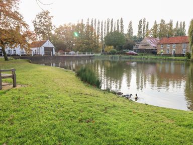 A pond with ducks on the bank and grass with a wooden bench by old houses at The Old School in Downham Market