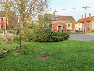 A grassy park area with ducks on the ground a tree benches and traditional brick houses in the background at The Old School in Downham Market