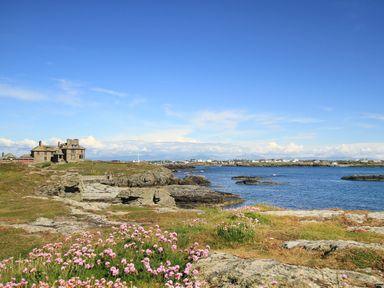 A coastal landscape with rocks flowers and a stone house near the sea at Isallt Cove in Trearddur Bay