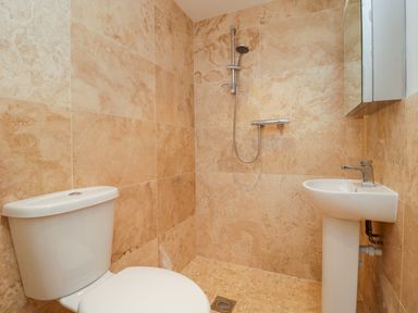 A bathroom with a toilet sink and wall-mounted shower at Golden Valley Barn in Oldbury-On-Severn