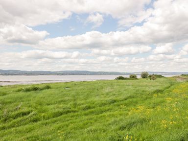 A grassy field with small yellow flowers by a body of water under a cloudy sky at Golden Valley Barn in Oldbury-On-Severn