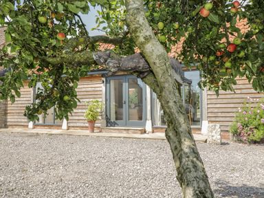 An apple tree with a squirrel decoration in front of a wooden barn with glass doors at Golden Valley Barn in Oldbury-On-Severn