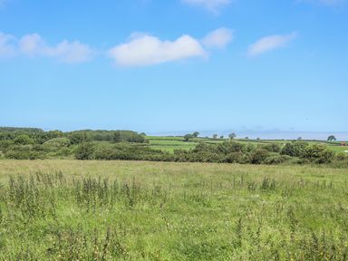 A green field with trees and bushes under a blue sky at Y Bwthyn in Brynsiencyn