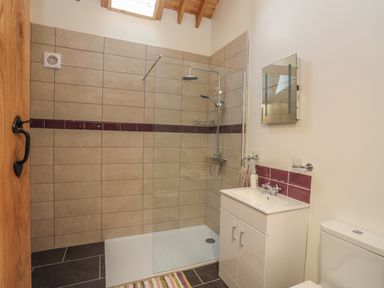 A bathroom with a shower area a sink vanity with mirror and a toilet at Y Bwthyn in Brynsiencyn