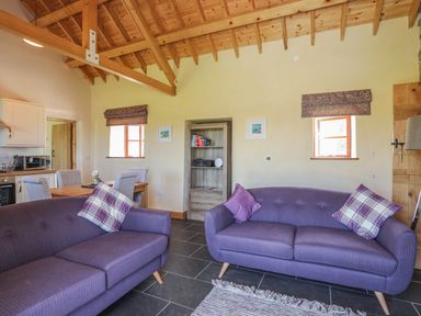 A living room with two purple sofas and a dining table with chairs at Y Bwthyn in Brynsiencyn