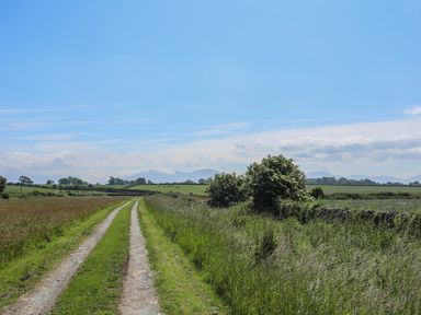 A dirt and grass path running through green fields with trees and bushes under a blue sky at Y Bwthyn in Brynsiencyn