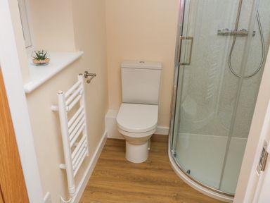 A bathroom with a toilet, glass shower enclosure, white towel radiator, and small plant on the window at Ryedale Country Lodges - Hazel Lodge in Kirkbymoorside