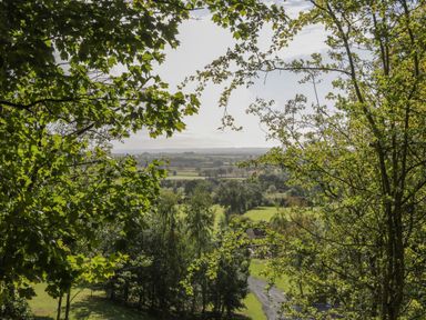 A landscape view of green trees and fields through tree branches at Ryedale Country Lodges - Hazel Lodge in Kirkbymoorside