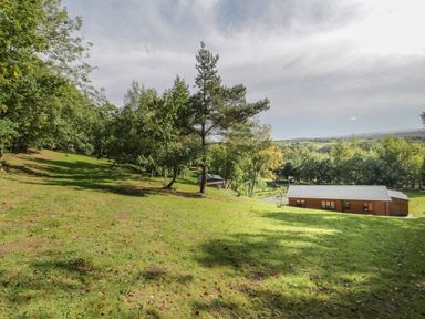 A grassy hillside with trees and a wooden cabin at Ryedale Country Lodges - Hazel Lodge in Kirkbymoorside