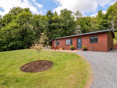 A cabin surrounded by grass and trees at Ryedale Country Lodges - Hazel Lodge Kirkbymoorside