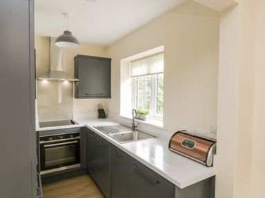 A kitchen with dark cabinets a sink an oven a knife block and a breadbox at Ryedale Country Lodges - Willow Lodge in Kirkbymoorside
