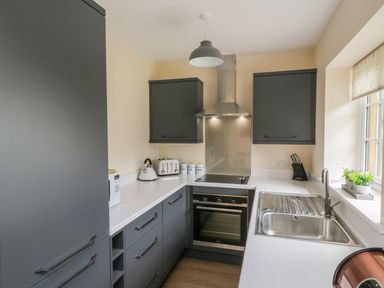 A kitchen with grey cabinets a stainless steel sink an oven and a window with plants on the sill at Ryedale Country Lodges - Willow Lodge in Kirkbymoorside