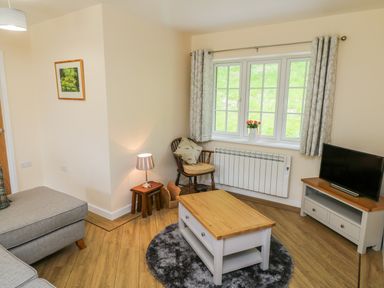 A living room with a gray sofa wooden coffee table round rug wooden chair and a television at Ryedale Country Lodges - Willow Lodge Kirkbymoorside