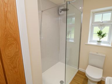 A bathroom with a glass shower enclosure a toilet a window with a plant and a wooden door at Ryedale Country Lodges - Willow Lodge in Kirkbymoorside