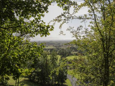 A view of green trees and fields with a distant horizon seen through tree branches at Ryedale Country Lodges - Willow Lodge in Kirkbymoorside