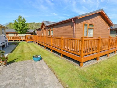 Exterior view of wooden lodges with fenced decks and a grassy area in between at Serendipity - Heritage Park Stepaside near Kilgetty