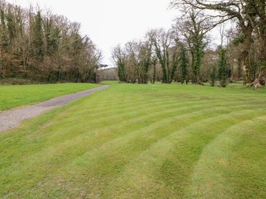 A grassy area with a narrow path and trees at Serendipity - Heritage Park in Stepaside near Kilgetty