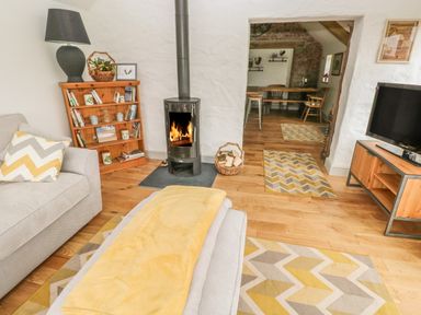 A living room with a sofa a wood burning stove a bookshelf rugs and a television at The Old Farm Shop in Narberth