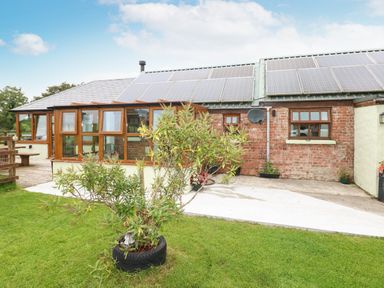 A backyard with a small tree planted in a tire pot in front of a house with solar panels on the roof at The Old Farm Shop in Narberth