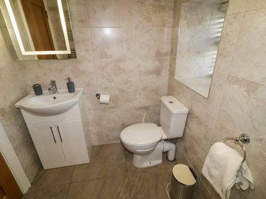 A bathroom with a toilet, sink with cabinet, mirror, towel ring with towel, and trash can at Lough Island Reavy Cottage in Kilcoo Mourne Mountains Newry County Down