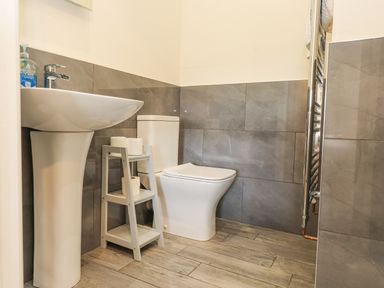 A bathroom with a pedestal sink a toilet and a small shelf with toilet paper at The Cottage in Llaniestyn