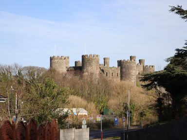 A medieval stone castle on a hill surrounded by trees and a road in front at Sunset Sands in Deganwy