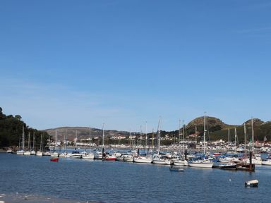 A harbor with many sailboats docked in the water and hills with houses in the background at Sunset Sands in Deganwy