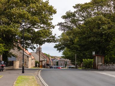 A street with trees and houses in Bamburgh