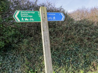A wooden post with green and blue direction signs for walking cycling and horse riding paths near bushes