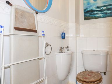A bathroom with a toilet a sink wall-mounted soap dispenser ironing board and a drying rack at Sunflower Cottage in St Issey