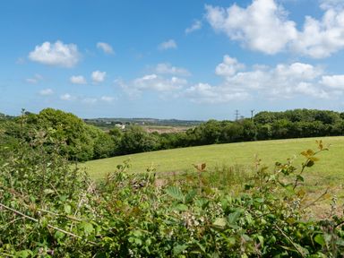 A grassy field with bushes and trees under a blue sky with clouds at Bear Cottage in Chacewater near Truro