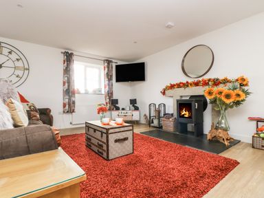 A living room with a fireplace and a red rug at Bear Cottage in Chacewater near Truro