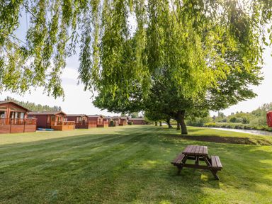 A row of wooden lodges with fenced patios next to a grassy area with trees and a picnic table at Boosters Lodge in Stratford-upon-Avon