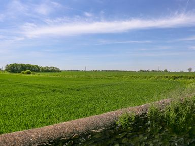 A stone wall with green fields and trees under a blue sky at The Lodge at Mortons in Hankerton